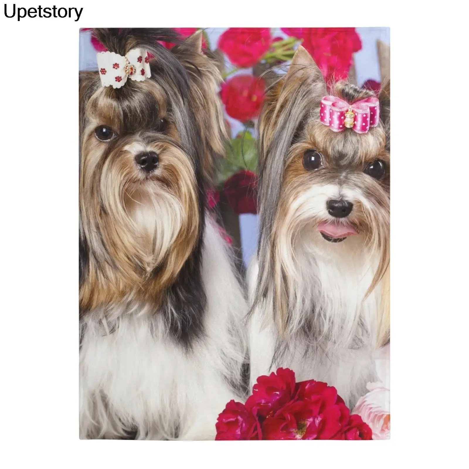 Upetstory �� ��� ������ �÷��� ���, ��ũ�� �׸��� 2 �� ħ�� ������ ħ�� �ε巯�� ���� ���