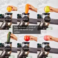 110/240V    соковыжималка шнековая Household slag juice separation small fruit and vegetable portable fresh pure fried juicer 2
