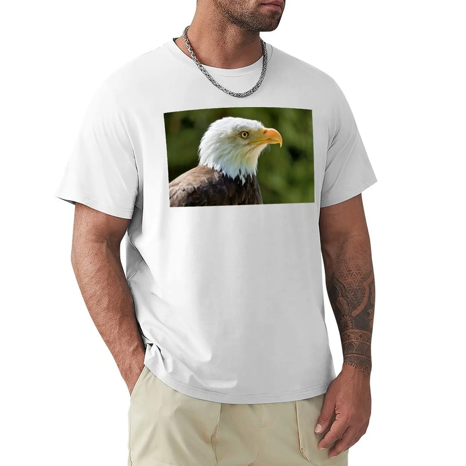 Bald Eagle (Haliaeetus leucocephalus) T-shirt boys whites plus size tops tees funnys sweat shirts, men