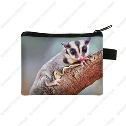 Adorable Animal Print Coin Purse and Credit Card Holder Wallet (Lqbmdw01zm)