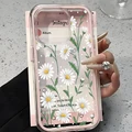Transparent Pink