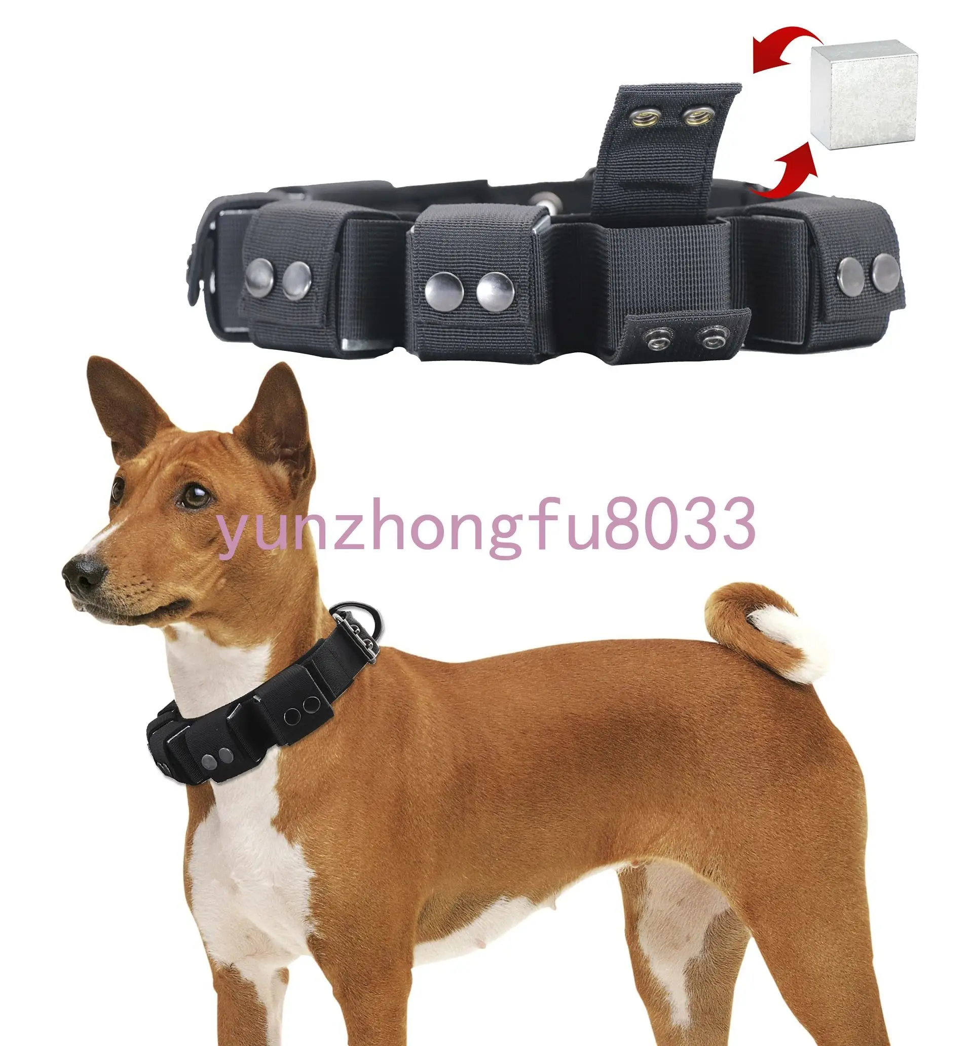 

Weight Training Equipment - Weighted Dog Collar Adjustable Weights for Training, Exercise and Muscle Builder