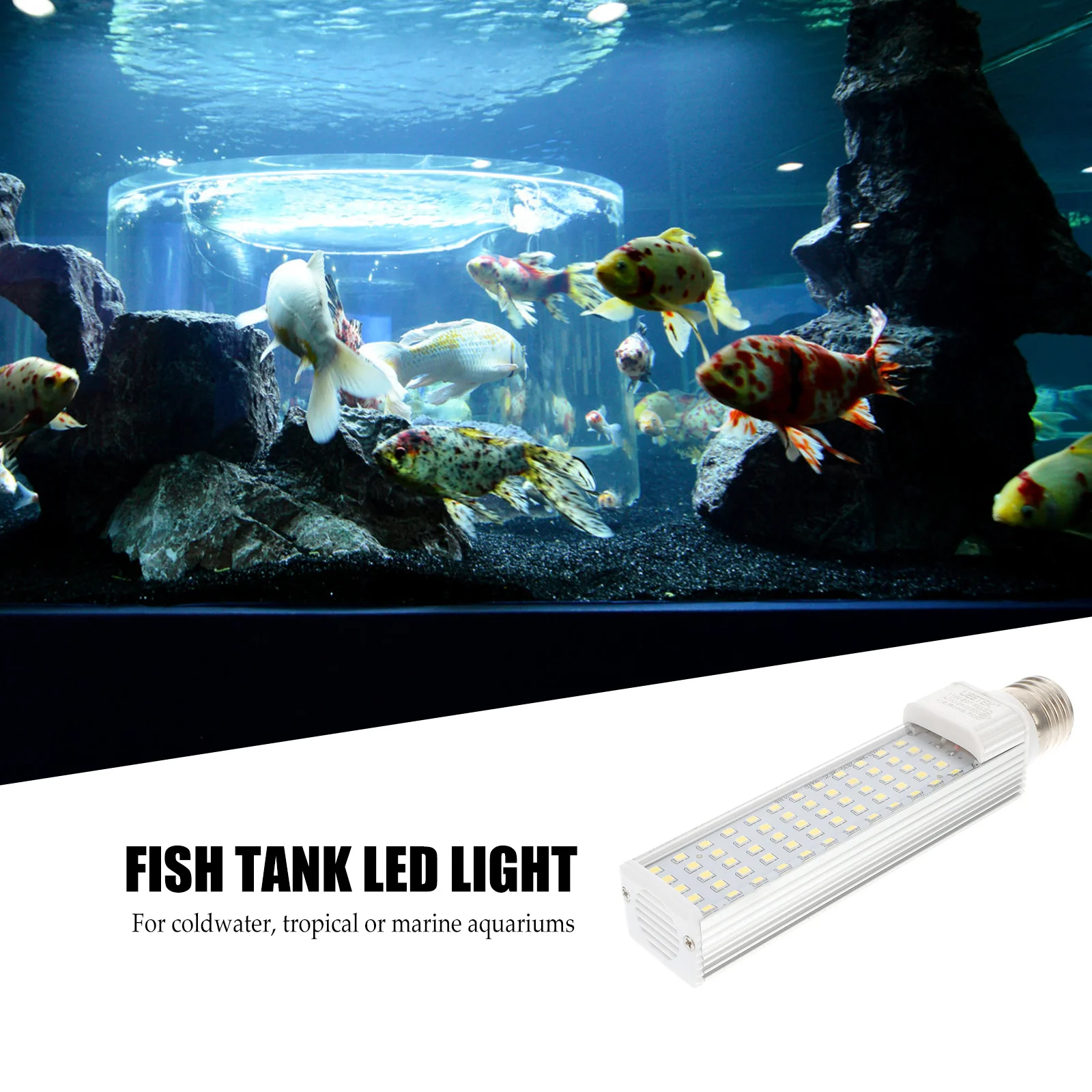  Ĺ LED ,   ũ , ڽ 