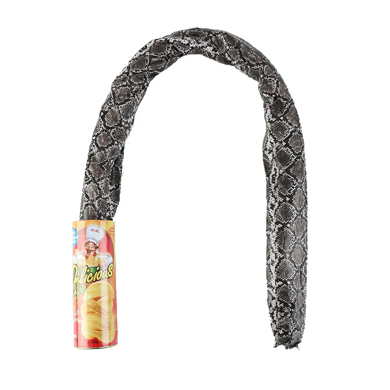 The Potato Chip Snake Can Jump Stage Magic Tricks Spring Snake Toy April Fool Day Halloween Party Jokes in A Can Gag Gift Prank 4