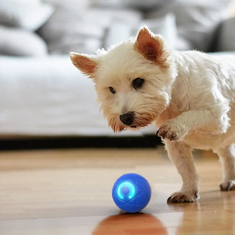 Smart Automatic Dog Toy Ball 4