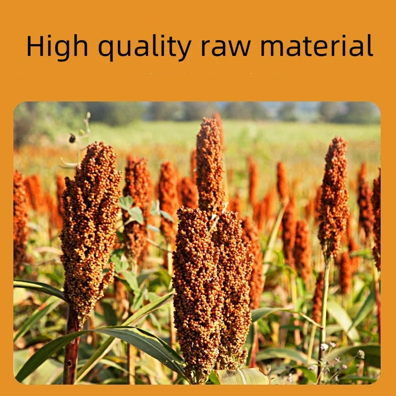 Bird Food Berry Seeds Parrot Food Peony Tiger Skin Xuanfeng Feed Shelled Five-color Millet General Bird Mixed Grain