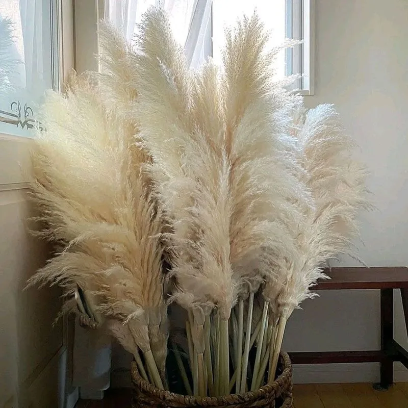 

80-140cm Pampas Grass Large Tall xxl Fluffy Pampas Dried Flowers Boho Decor Plant for Vase Home Wedding Decor Flower Arrangement