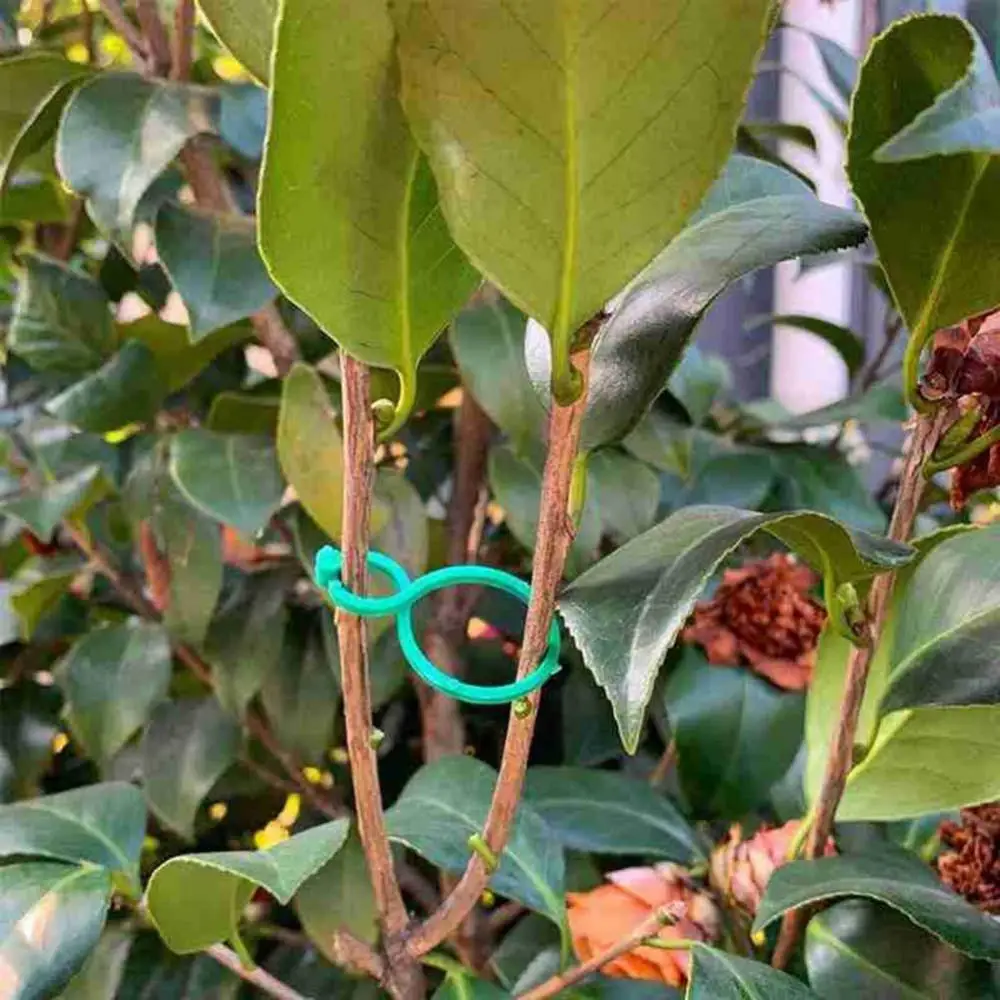 Clip Per Orchidee E Piante - 50 Pezzi, Verde Scuro | Sostegno Per Fiori, Pomodori, Cetrioli