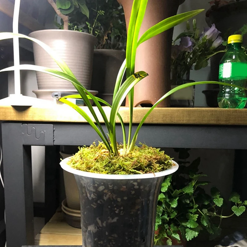

5 Inch 24Pcs Clear Flower Pot Planter Plastic Orchid Pot With Holes Tall Plant Pots For Home Flower Shop Decoration