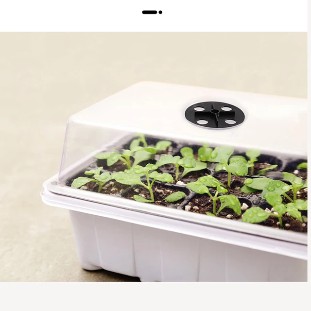Cells Seed Starter Kit Növényi Magvak Grow Box Cseedling Tálcák Csírázási Doboz Kupolával És Alapja A Magok Növekedésének Indulásához - Image 5