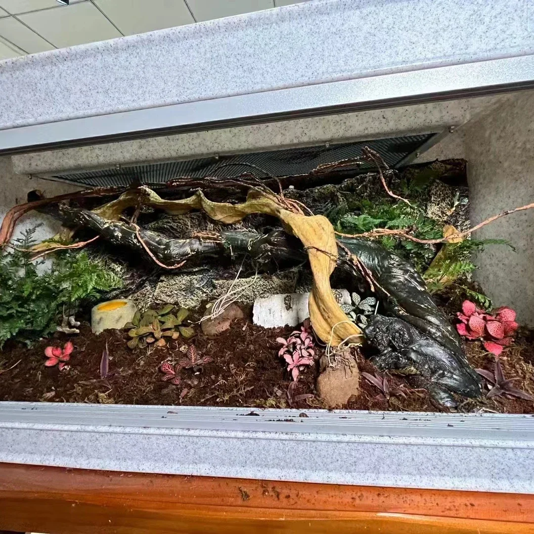 파충류 뱀용 뱀 케이지, 파충류 케이지, 120cm