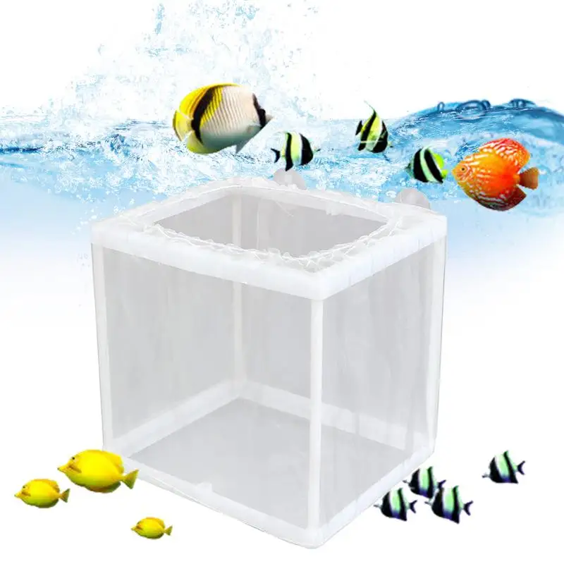 Breeder Box for Fish Tank Fish Incubator Mesh Box Juvenile Fish Separation Net with Suction Cups Fish Tank Incubator Mesh Box 3