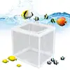 Breeder Box for Fish Tank Fish Incubator Mesh Box Juvenile Fish Separation Net with Suction Cups Fish Tank Incubator Mesh Box 3