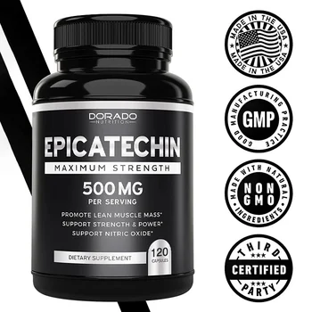 Epicatechin Extract 500 Mg Per Serving - Non-GMO & Vegan Supplement