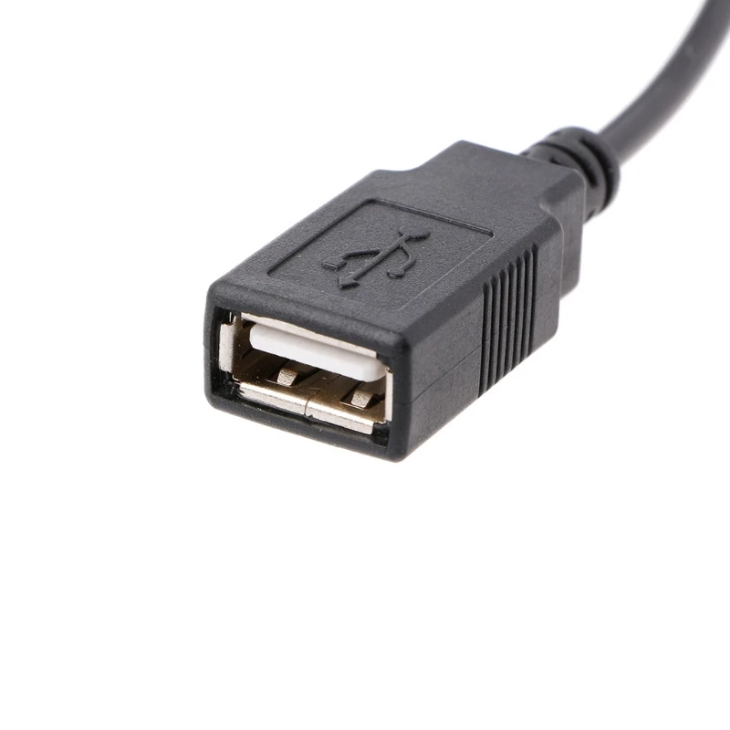 2핀 주변기기 몰렉스 암 5V USB 전원 어댑터 케이블 U4LD