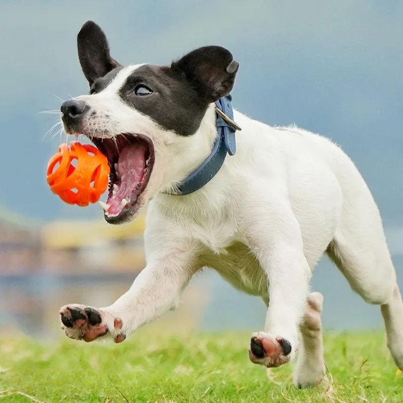 Pet Toys - Bite-resistant Chewing Balls - Hollow Elastic Balls - Training Balls -Entertainment and Relaxation Toys -Pet Supplies - 2