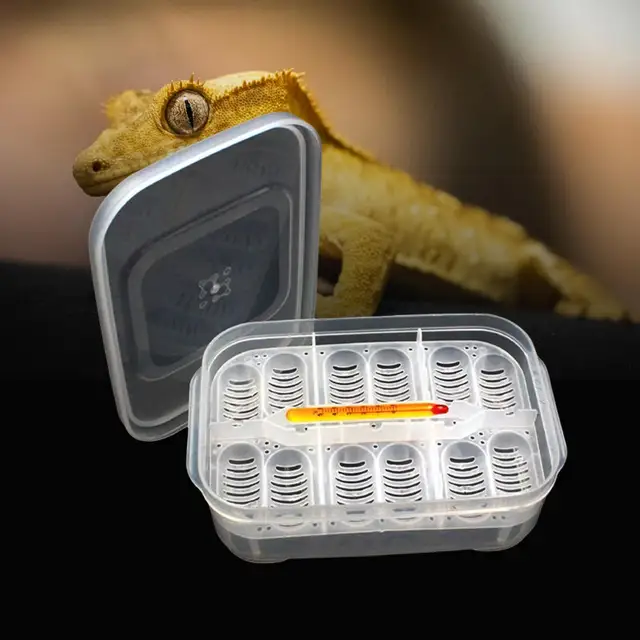 Gecko Hatchery Reptile Egg Tray Snake Lizard Egg Hatching Incubator