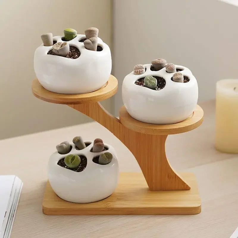 Desktop Creative Flower Rack Succulent Rack Office Living Room Small Flower Display Succulent Small