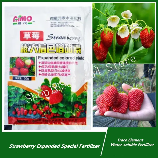 30 G Szamóca Kibővített Speciális Műtrágya Kiegészítő Növényi Táplálkozás Javítja A Minőséget És Növeli Az Otthoni Kert Hozamát