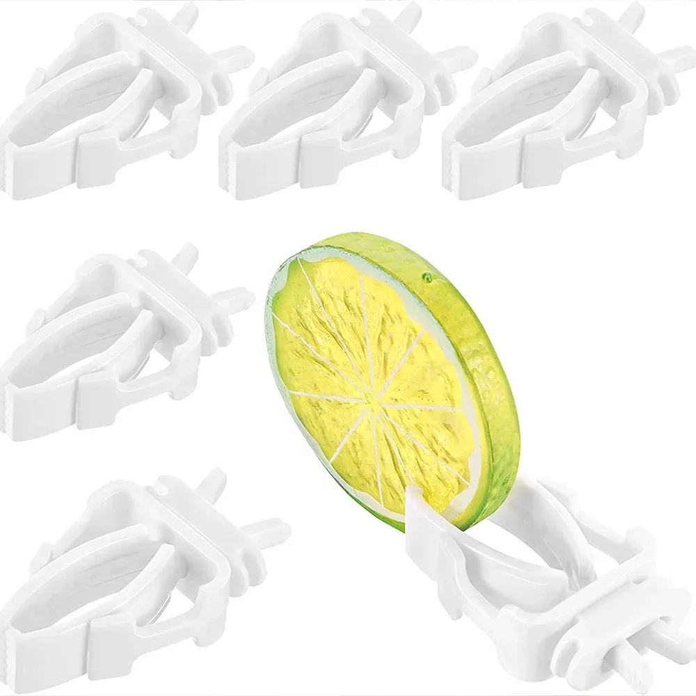 Birds Food Holder Pet Parrot Feeding Fruit Vegtable Clip Cuttlefish Bone Feeder Device Pin Clamp Bird Cage Accessories Oiseaux