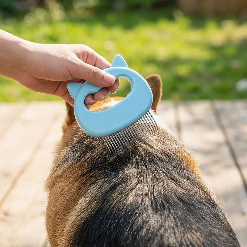 고양이 귀 모양 휴대용 손잡이가 있는 애완동물 마사지 및 엉킴 풀기용 그루밍 브러쉬