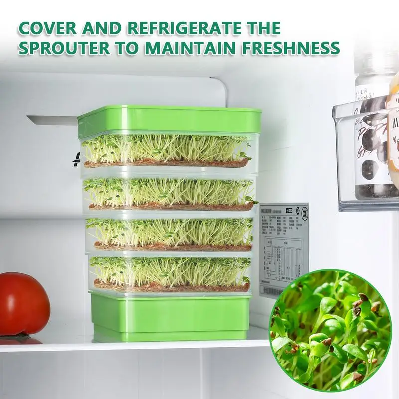 Seed Sprouter Tray With Cover Sprout Dish Growing Pot Sprout Dish Growing Pot Vegetables Plants Germination Nursery Tray