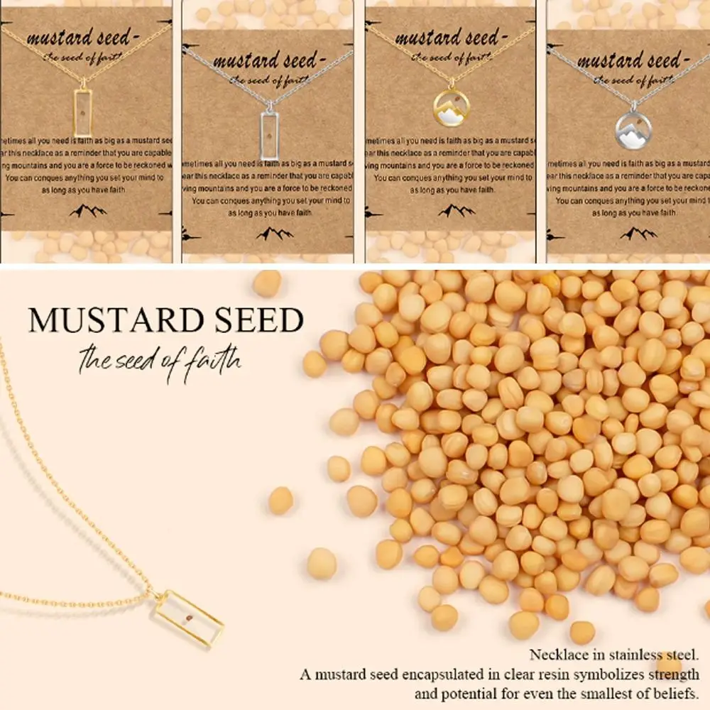 Christian Gift Mustard Seed Necklace Gold Color Stainless Steel Pendant Necklace Silver Color the Seed of Faith Chain Necklace
