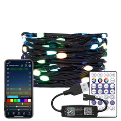 Vibrant Dreamcolor RGBIC LED String Lights - 20m (Black USB Kit)