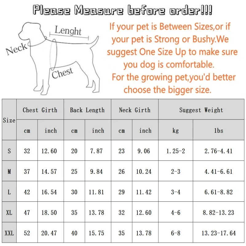 Summer Bear Dog Shirt 6
