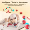 LEMEENQ Cat Interactive Ball Toy Auto Rolling Ball with Tail Rechargeable Smart Pet Interactive Toy Intelligent Mouse for Cat 3