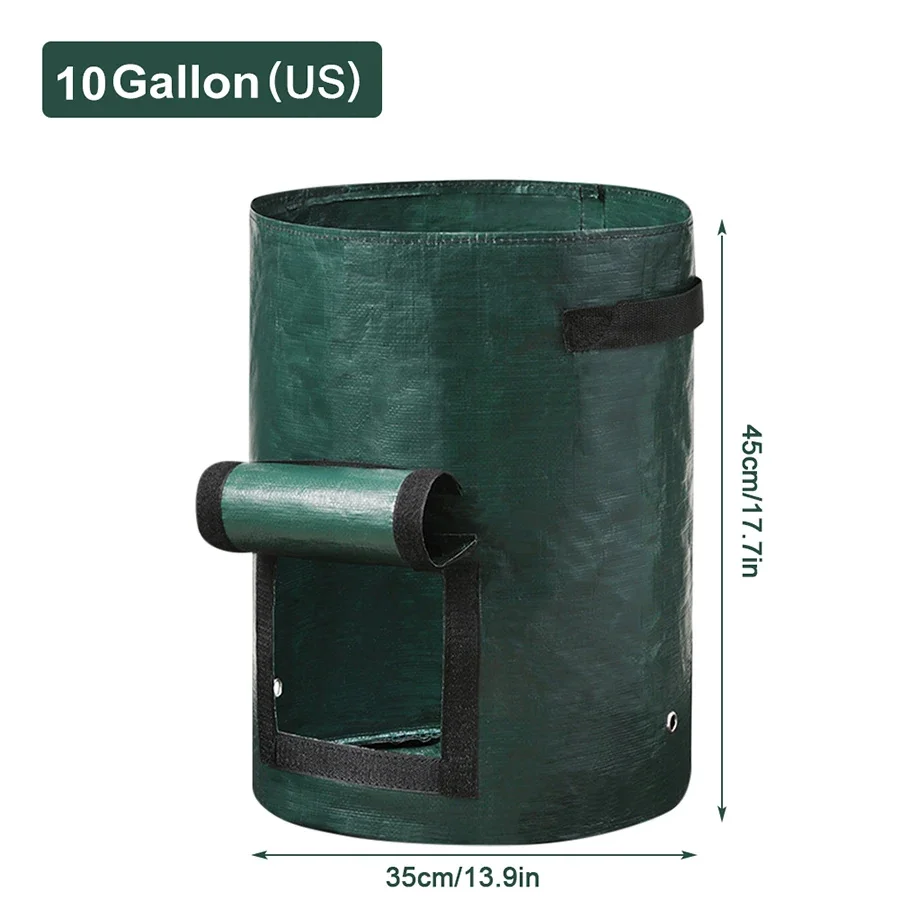 10 Gallon US