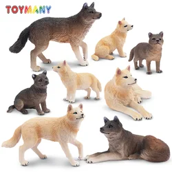 Set of 6 Realistic Wolf Figurines, Wildlife Animal Toy Collection for Kids - Miniature Collectible Gift Set (8 - Piece Wolf)