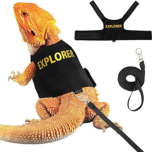 New Reptile Leash Harness Soft Padding Dragon Wings Vest with Hook and Loop for Small Animals Cute Security Clothes 3