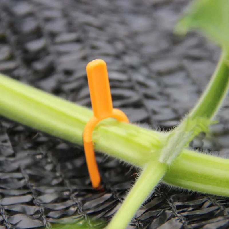 Plastic Plant Flower Support Clips Orchid Stem holder Fixing Vine Support Vegetables Tied Bundle Branch Clamping Garden Tools t