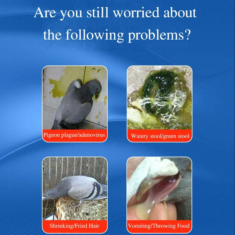 Pigeon Medicine Green Water Stools Newcastle Disease Bursitis Supplies