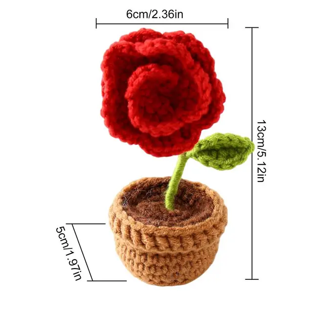 potted red rose