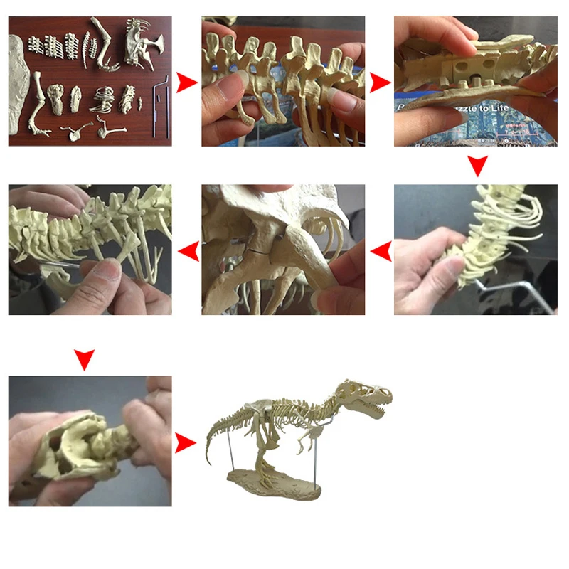 Hot Sale Summer Abs Plastic dino Baby Play sand tools with Funny Sand Mold  Set Dinosaur Skeleton Bones Beach Toy Kids Children