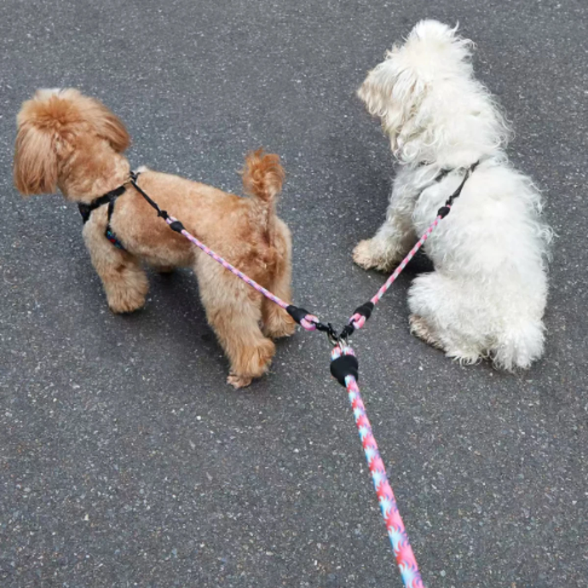 Double Head Anti-Tangle Dog Leash 3