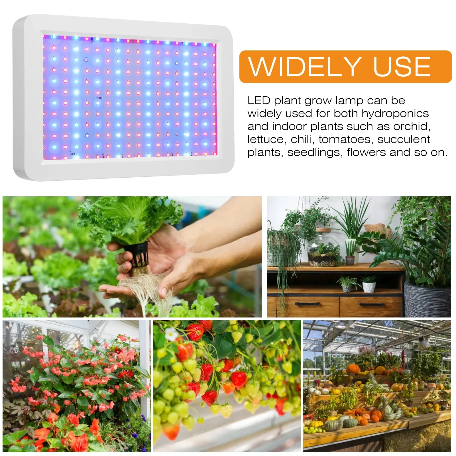 Slide image 72ce5003b4c84e0c9a3b274b14a0f10b