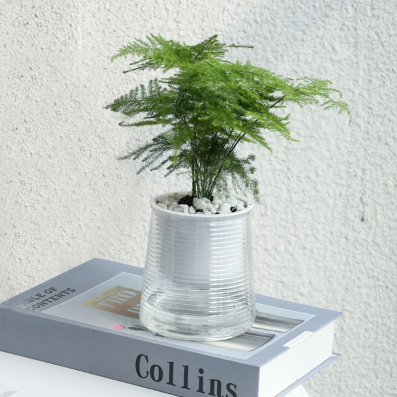 Hydroponic Plants Pot flower pot hydroponic flower pot plant pot Self Watering Indoor Mini Succulent Planter Tabletop Vase for Home Office Bonsai Decor