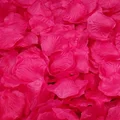 Rose Red