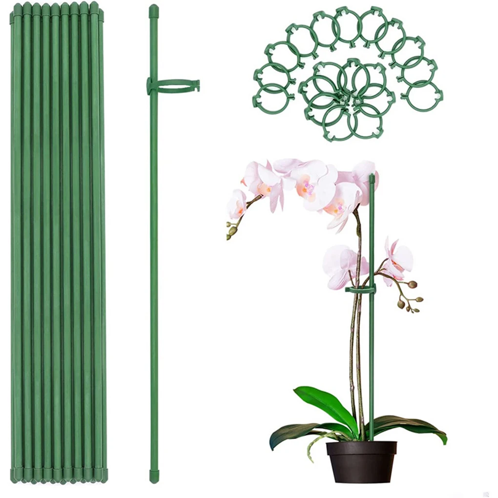 

Convenient Plant Stake For Tall Plants Sturdy And Reliable Plant Sticks Support Tall Plant Support