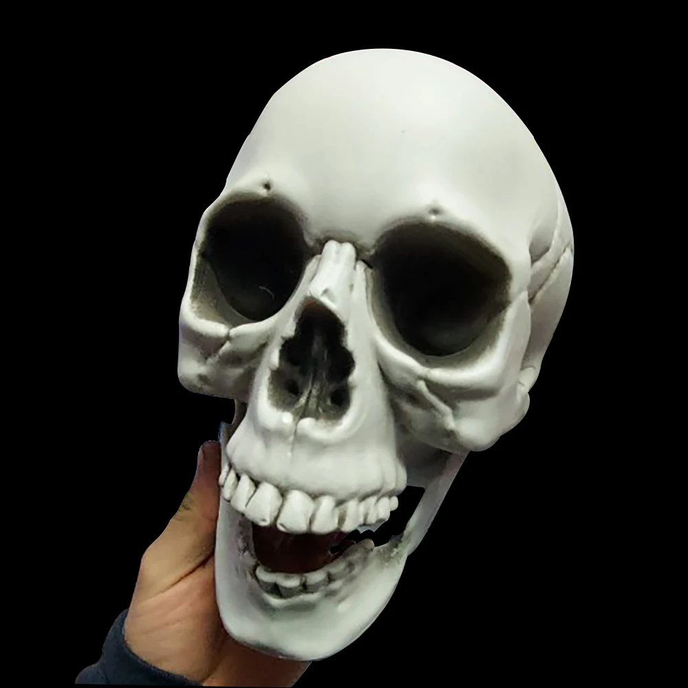 Realistic Halloween Skull Decor 5