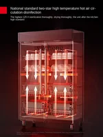 Tqh Double Door Disinfection Cabinet Commercial Vertical Large Canteen School Plate High Temperature Hot Air Circulation 2