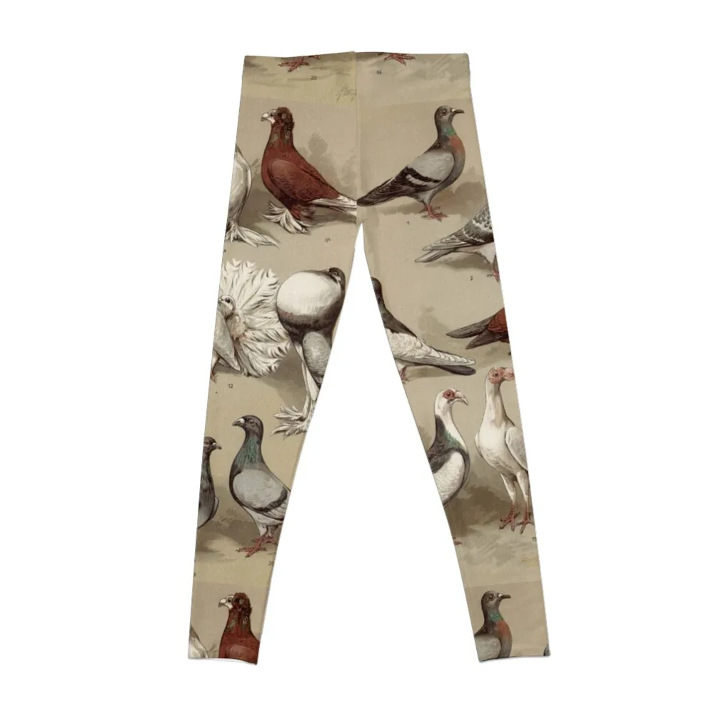 Pigeon Breeds Chart Leggings Push up leggings Women's sport leggings