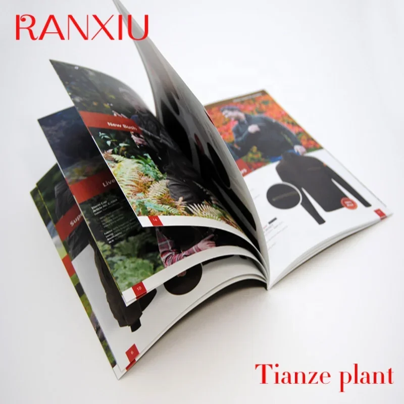 Рисунок 2 - Пользовательская Глянцевая Складная брошюра