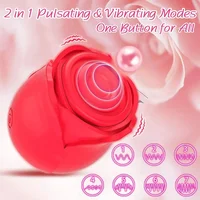 10-Gang-Rosenvibrator, G-Punkt-Dildo, vaginales Klitoris-Saugen, Sexspielzeug für Frauen, leistungsstarker Vakuum-Vibrator, Massagegerät, USB wiederaufladbar 3