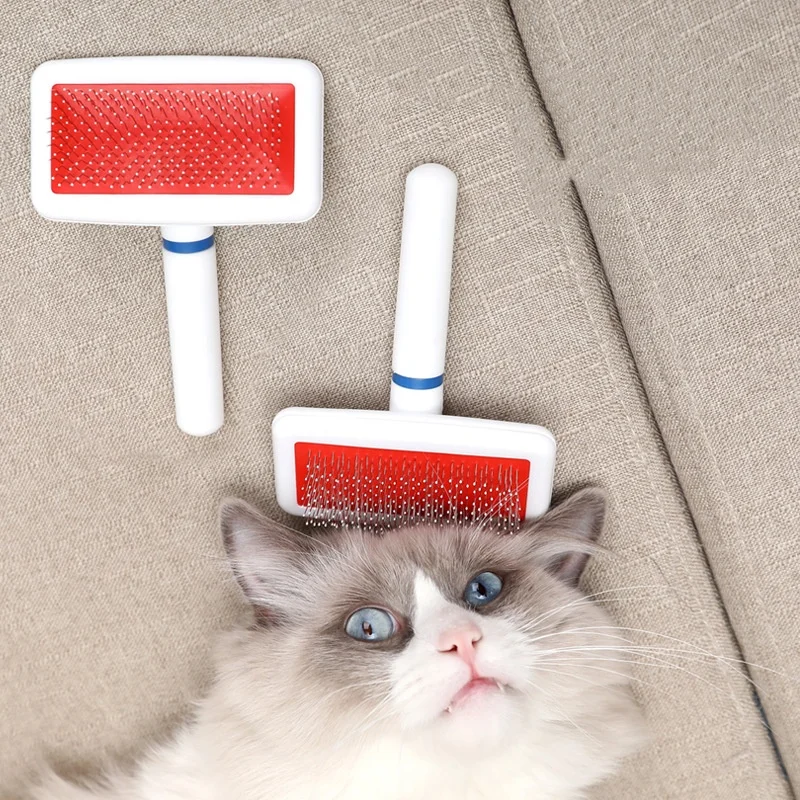 Slide image 66576d6a0aa8497dadd358eb7c76a461