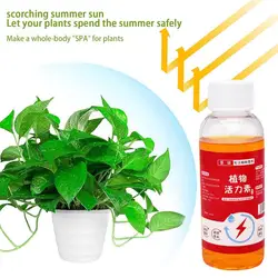 Plant Growth Enhancer Supplement - Universal Flower Fertilizer for Healthy Succulent Roots