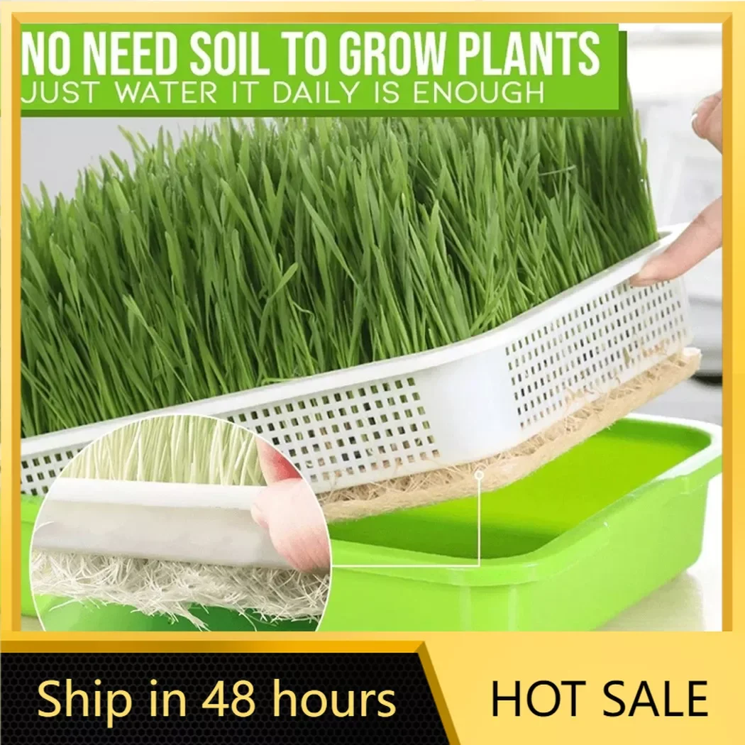 MicrogreenSproutingTraySproutDishGrowingPotHydroponicSprouting